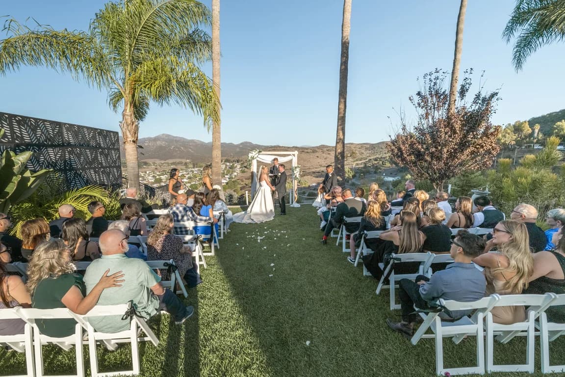 The ceremony on the lawn, guests along the aisle under tall palms