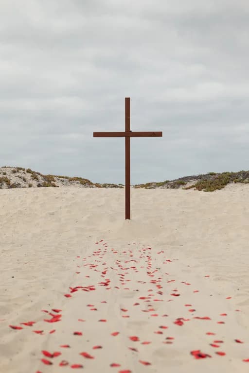 A wooden cross on the sand, red petals along the aisle